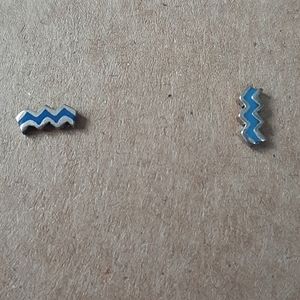 Sterling Silver Wave Earrings